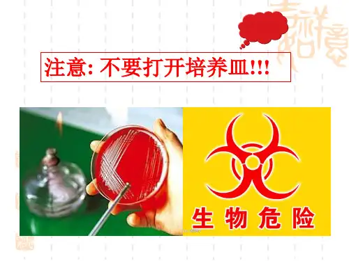 细菌的生理、消毒、灭菌实验