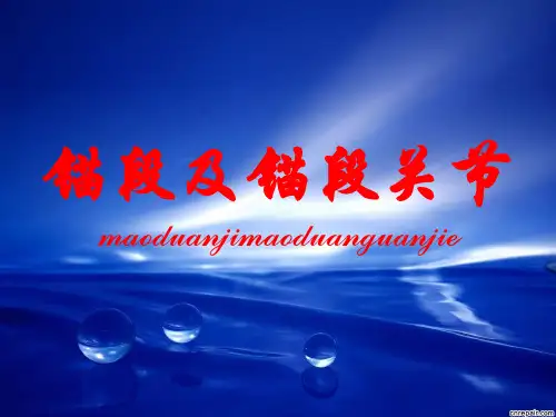 锚段与锚段关节