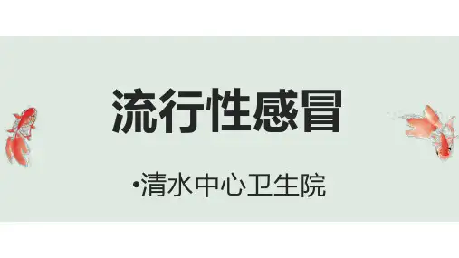 流行性感冒 PPTX 演示文稿