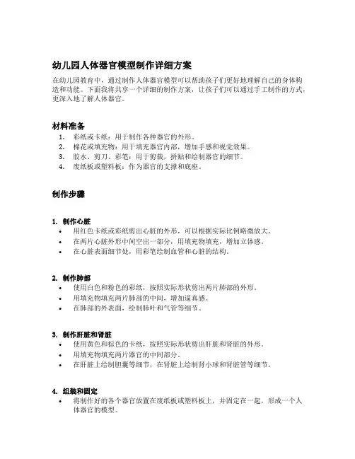 幼儿园人体器官模型制作详细方案