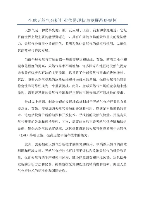 全球天然气分析行业供需现状与发展战略规划