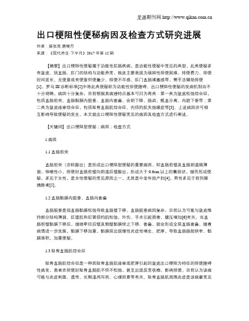 出口梗阻性便秘病因及检查方式研究进展