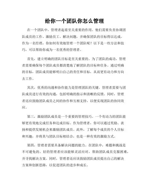给你一个团队你怎么管理