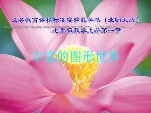 丰富的图形世界复习课件1