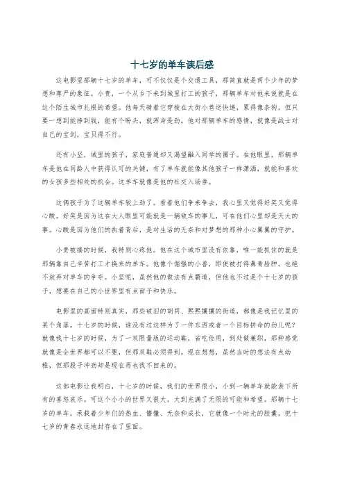 十七岁的单车读后感