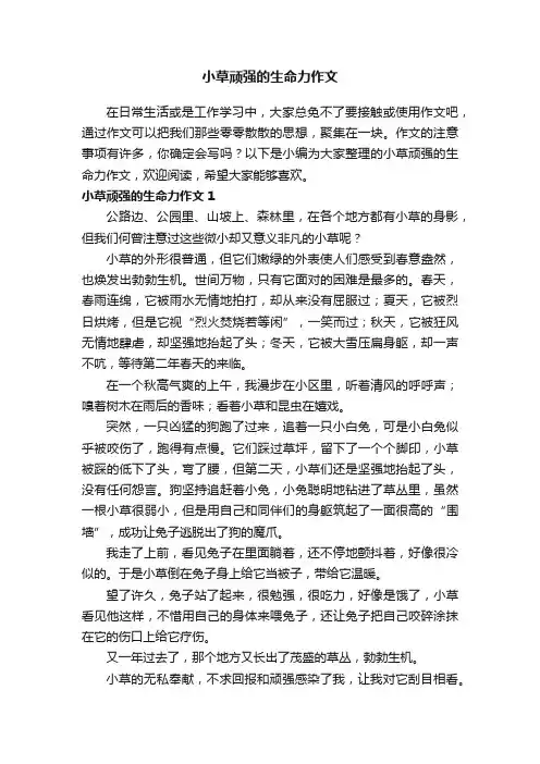 小草顽强的生命力作文5篇