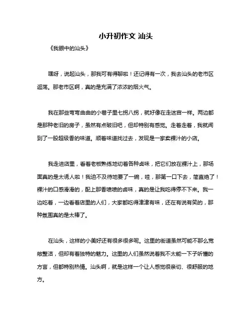小升初作文 汕头