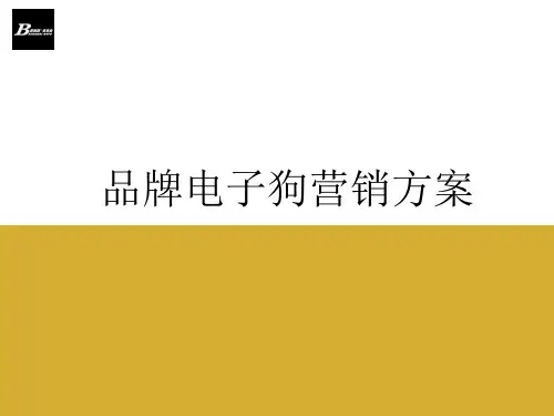 品牌电子狗营销方案