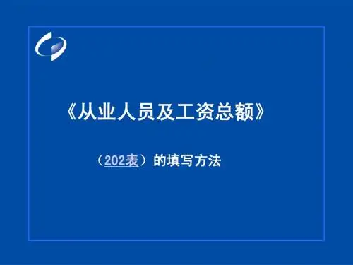 企业一套表 202表培训