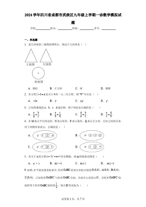 2024学年四川省成都市武侯区九年级上学期一诊数学模拟试题