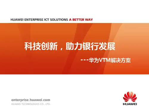 1 VTM解决方案技术介绍