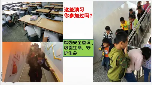 人教版《道德与法治》七年级上守护生命优质课件