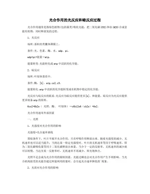 光合作用的光反应和暗反应过程