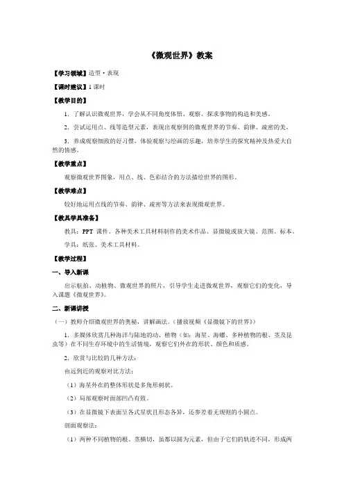 五年级美术下册《微观世界》优质教案