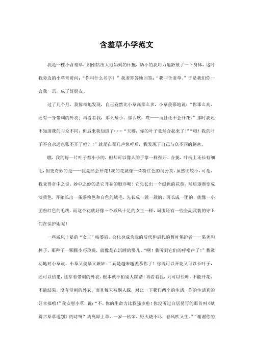 含羞草小学范文