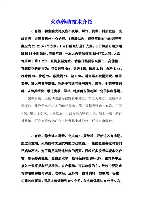 火鸡养殖技术介绍
