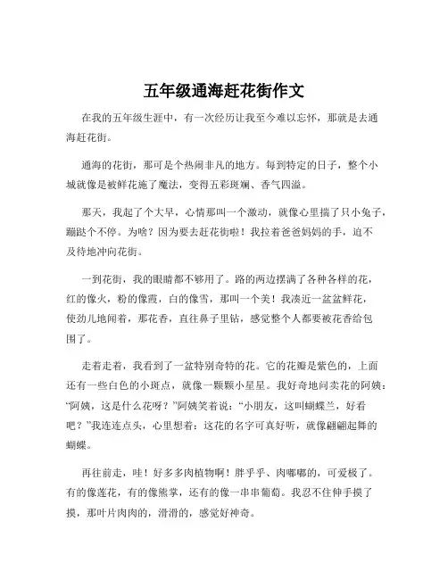 五年级通海赶花街作文