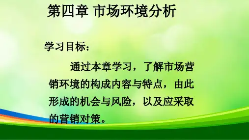 宏观与微观市场营销环境分析(ppt 111页)