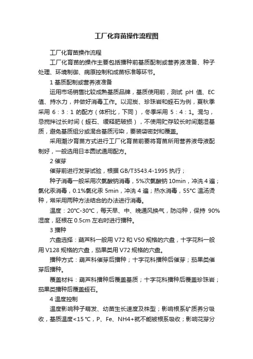 工厂化育苗操作流程图