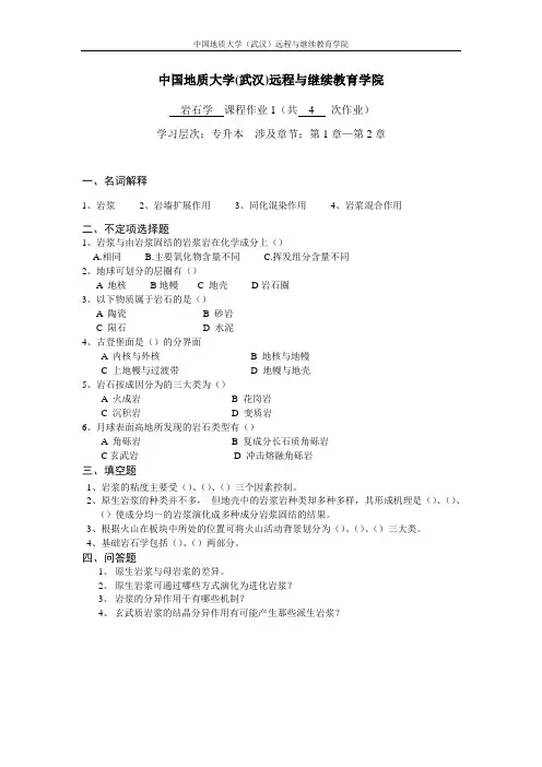岩石学阶段性作业11