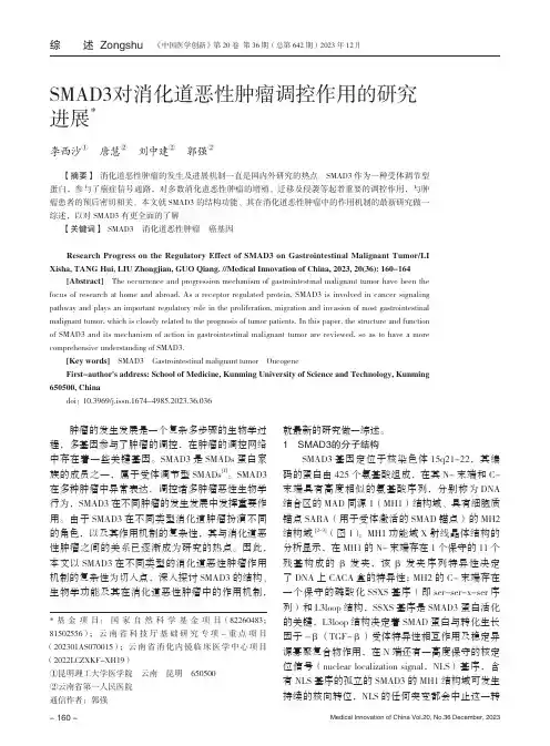 SMAD3_对消化道恶性肿瘤调控作用的研究进展