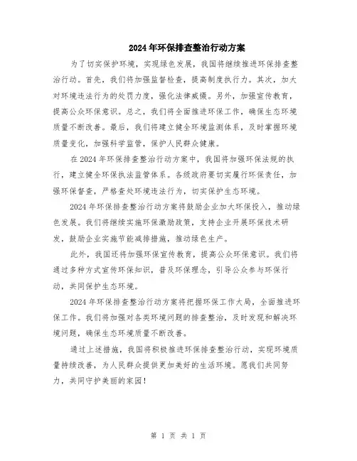 2024年环保排查整治行动方案