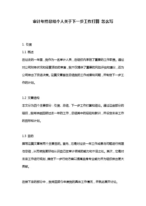 审计年终总结个人关于下一步工作打算_怎么写