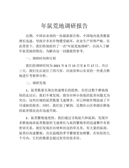 年鼠荒地调研报告