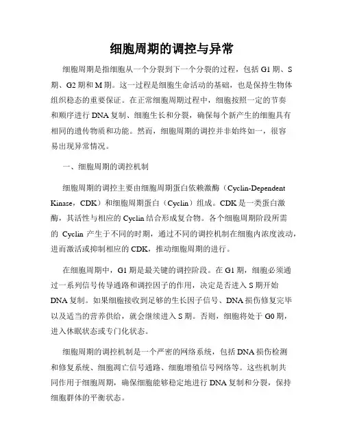 细胞周期的调控与异常