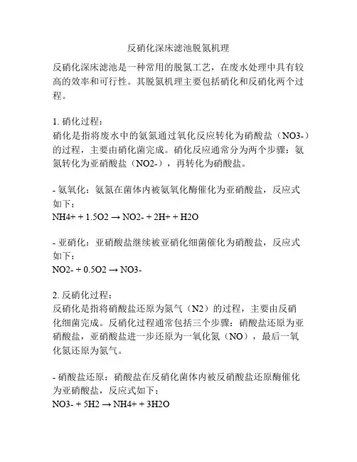 反硝化深床滤池脱氮机理
