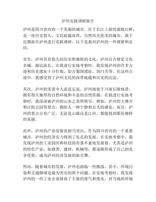 泸州实践调研报告