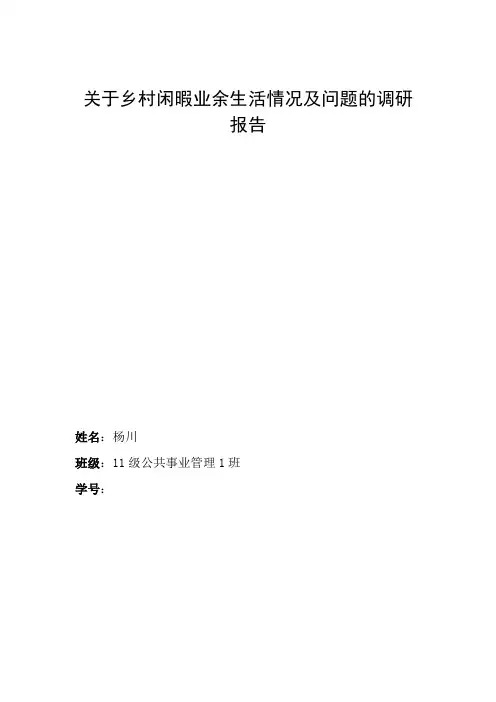关于乡村闲暇业余生活情况及问题的调研报告