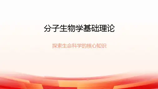 分子生物学基础理论