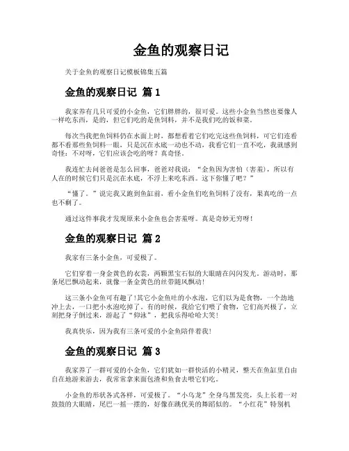 金鱼的观察日记
