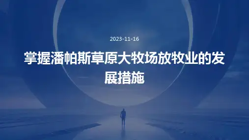 掌握潘帕斯草原大牧场放牧业的发展措施