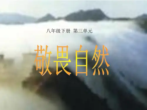 《敬畏自然》ppt课件