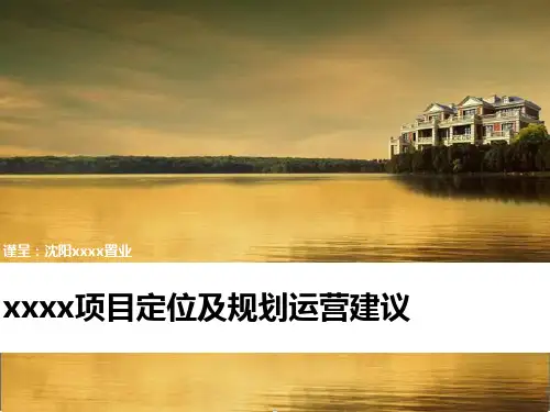 某项目定位及规划运营建议