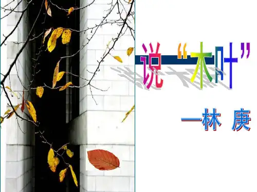 《说“木叶”》ppt课件