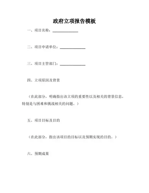 政府立项报告模板