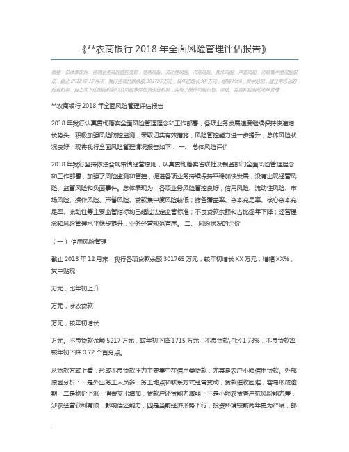 农商银行2018年全面风险管理评估报告
