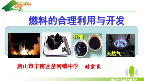 燃料的合理开发和利用   刘宏良