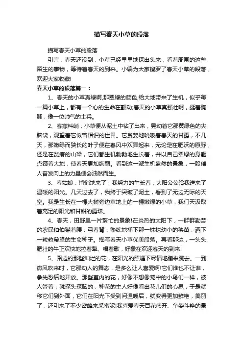 描写春天小草的段落