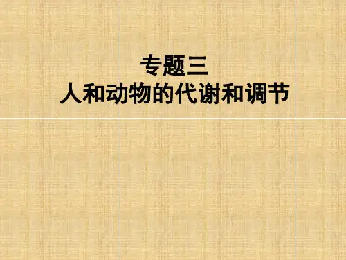 人和动物的新陈代谢课件