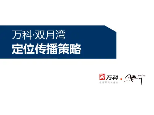 万科双月湾定位传播策略终