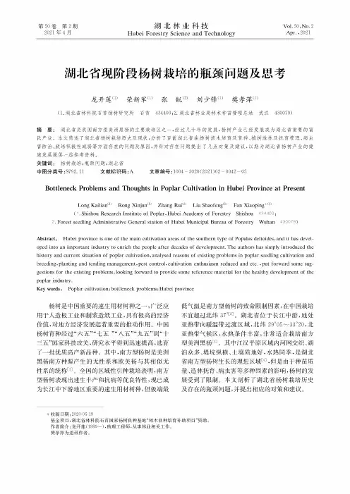 湖北省现阶段杨树栽培的瓶颈问题及思考