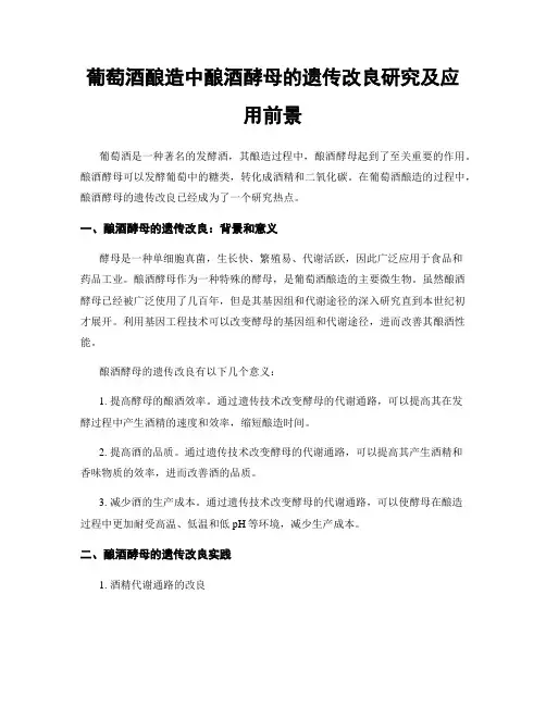 葡萄酒酿造中酿酒酵母的遗传改良研究及应用前景