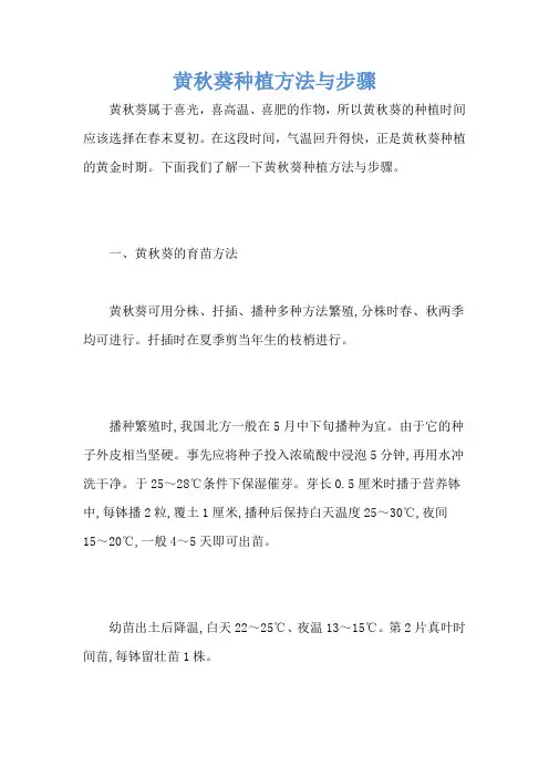 黄秋葵种植方法与步骤