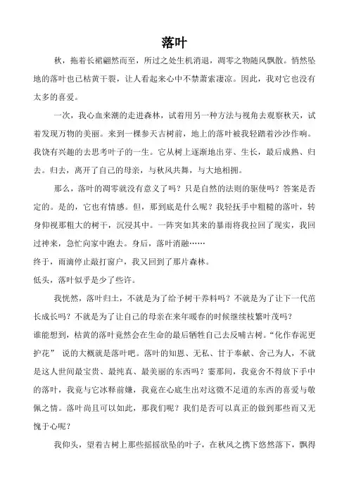 初中语文作文范例案例点评：落叶