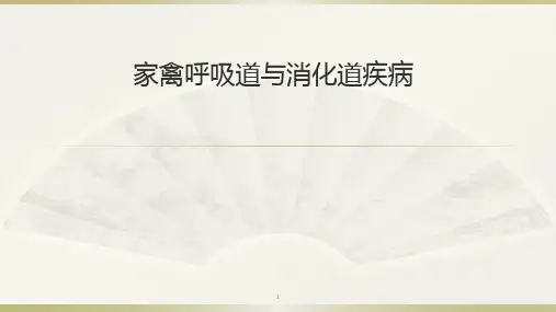 家禽呼吸道与消化道疾病