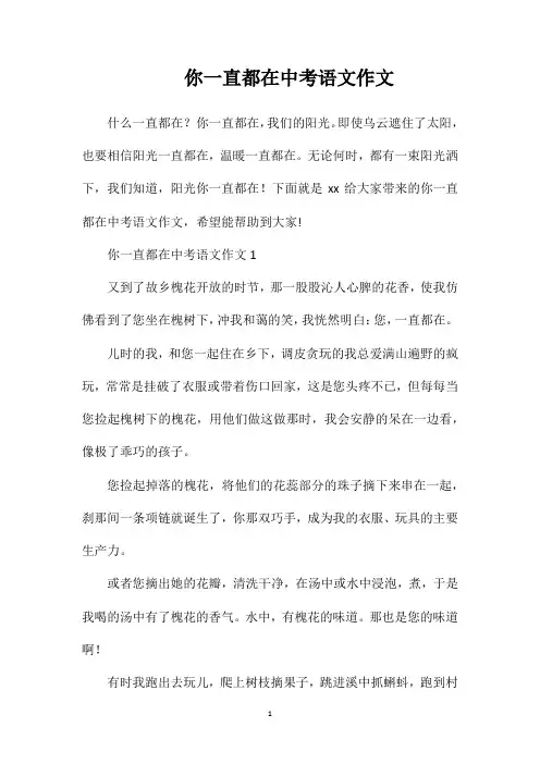 你一直都在中考语文作文